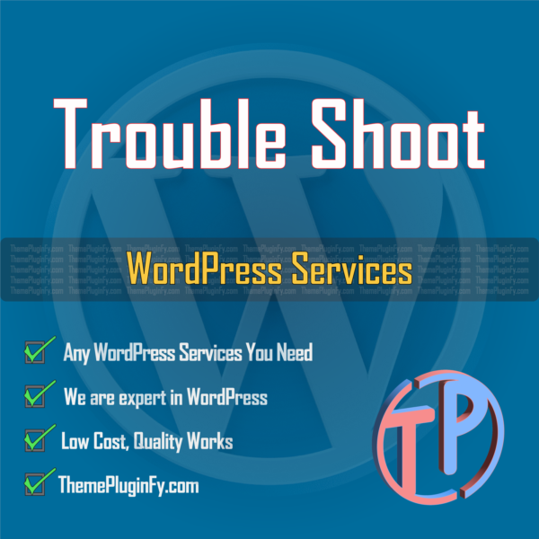 Best WordPress Service by ThemePluginFy.com 2024 - Image 3